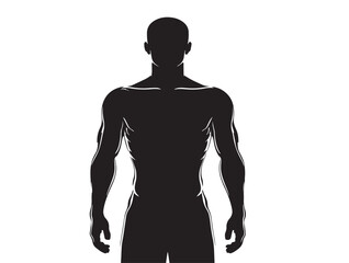 Contemporary Human Body Icon Silhouette Vector Illustration for Modern Medical Illustration