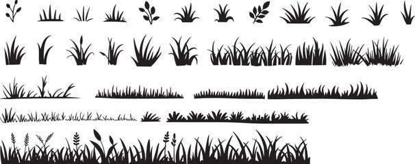 Set of grass vector on white background.Grass vector by hand drawing.