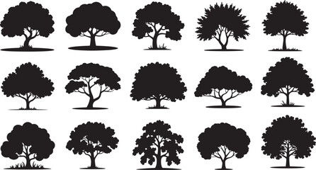 Collection Of Silhouette Of tree Isolated On White Background