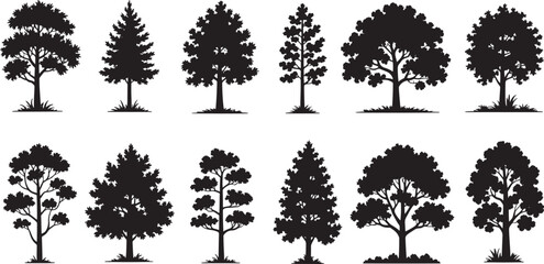 Fototapeta premium Spruce and Pine Tree Silhouette Collection, Coniferous Forest Vector Illustration, Evergreen Woods Isolated on White Background