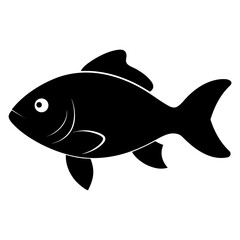 fish on a white background