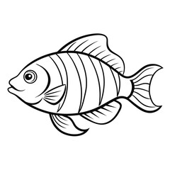 vector illustration of a fish