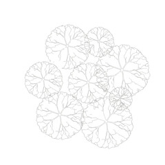 Fototapeta premium Set of 7 minimalist leaf illustrations vector