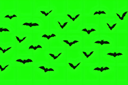 Flying bats green screen animation, seamless chroma key background template, spooky bat swarm motion, Halloween horror design, flapping wings silhouette pattern, scary dark night creatures cinematic e - Powered by Adobe