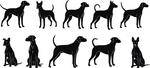 Black dog silhouette vector collection showing various breeds and poses for pet, animal, canine, and domestic dog design illustration projects