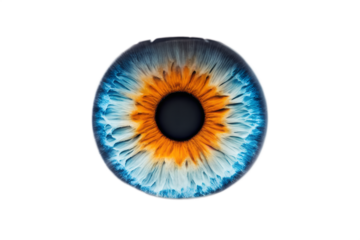 Close up of a human iris isolated on white background