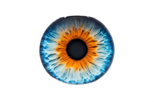 Close up of a human iris isolated on white background