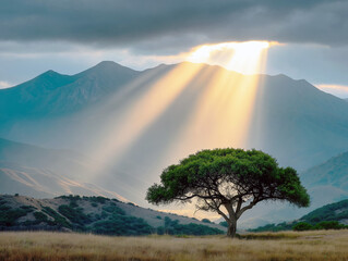 a beautiful tree in a valley illuminated by sunbeams - generative ai