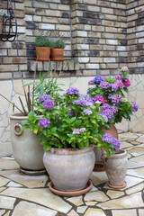 beautiful place in the garden in the mediterranean style