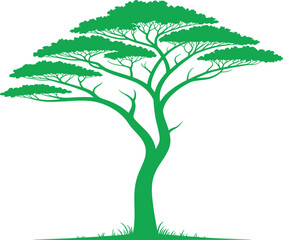 Green acacia tree silhouette vector illustration with natural leaves, tropical forest design, savanna landscape element, eco nature art isolated background