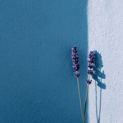 Two lavender sprigs stand against a textured blue wall, bathed in sunlight casting distinct shadows