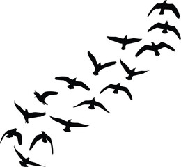Silhouette of flying birds in formation, flock of birds, migration pattern, black bird shapes, nature wildlife, freedom, flight, animal group, sky scene, outdoors