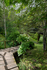 A landscaped garden park with a wooden pathway, a small stream, and decorative moss sculptures shaped like birds, surrounded by lush green forest.