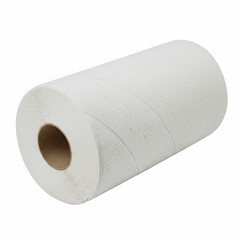 Fototapeta premium Roll of Paper Towels Isolated