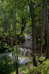 The image shows a small waterfall scene near the ruins of the Ieriķi Mill, where a stream flows through a lush green forest.