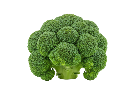 Pristine head of vibrant green broccoli with fresh textures, isolated on a seamless transparent background, studio shot, ample upper-left copy space, concept of healthy natural nutrition