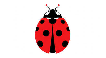 Illustration of a red ladybug with black spots on a white background in a cartoon style