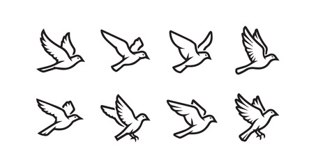 Birds flying line art icon bundle illustration