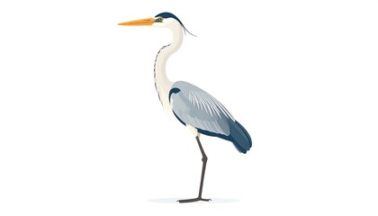 Obraz premium Profile view of a grey heron