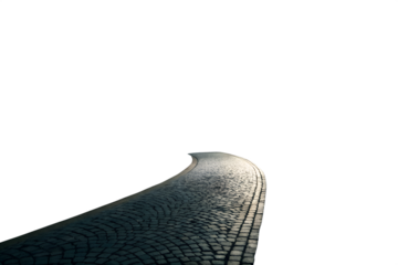 Close up of a bird s wing isolated on white background