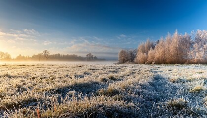 winter morning with hoarfrost on a meadow