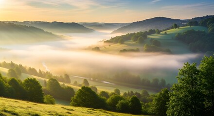 Fototapeta premium Misty Valley Sunrise: Serene Landscape with Golden Light and Fog.