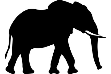 Obraz premium Majestic Elephant Line Art, Minimalist Elephant Illustration, Elegant Elephant Head Drawing