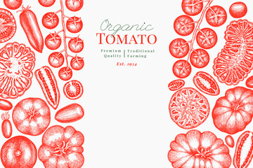Hand Drawn Tomato Illustration. Retro Vegetable Vector Design Template. Old School Farm Food.