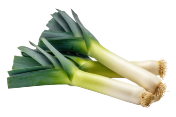 Three fresh leeks with vibrant green leaves and white stalks, isolated on a transparent background. background removed