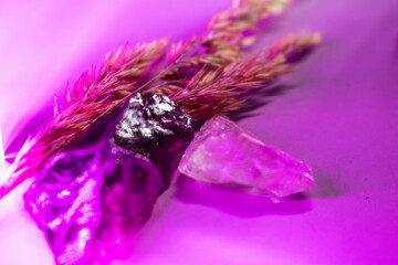 Raw amethyst and clear quartz crystals arranged with dried wheat on a purple surface, evoking...
