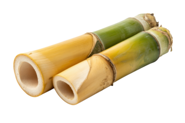 Two sections of golden bamboo stalks with green nodes, isolated on a transparent background. background removed