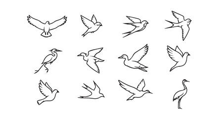 Birds flying line art icon bundle illustration