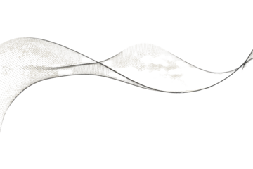 Abstract grayscale wave design, fluid, dynamic, textured, elegant, flowing, with a transparent background. background removed