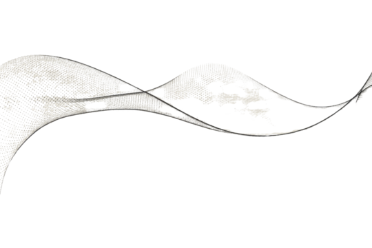 Abstract grayscale wave design, fluid, dynamic, textured, elegant, flowing, with a transparent background. background removed