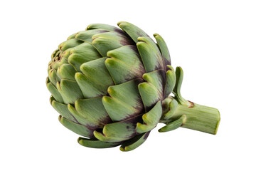 Fototapeta premium A single, fresh artichoke with green and purple hues, isolated on a transparent background. background removed