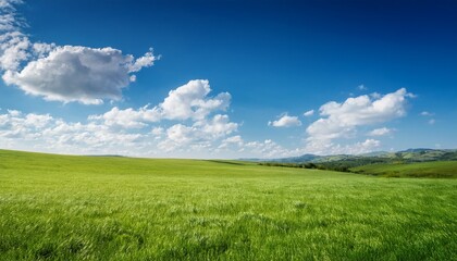 Fototapeta premium serene grass field under wide blue sky with soft breeze and scattered white clouds creating peaceful and natural outdoor landscape scene