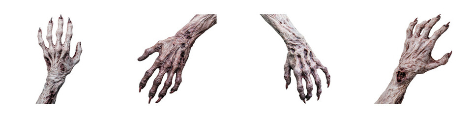 Fototapeta premium A series of four hands, each displaying unique textures and patterns