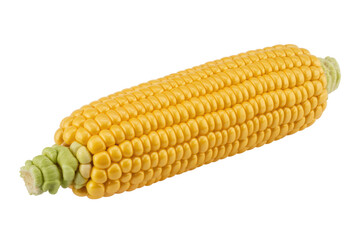 A single ear of yellow corn isolated on a transparent background. background removed