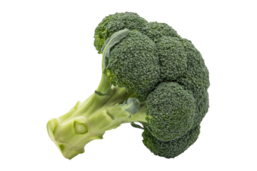 A single head of fresh green broccoli, isolated on a transparent background. background removed