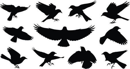 Black vector silhouettes of flying and perched birds in various poses on white background, minimal nature design for creative artwork