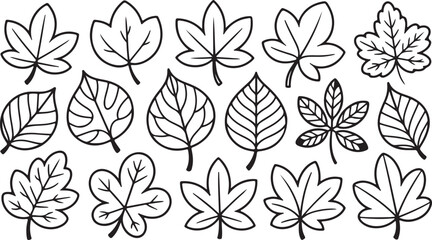 Assortment of Black and White Hand- Drawn Leaf Illustrations in Various Shapes leaves nature