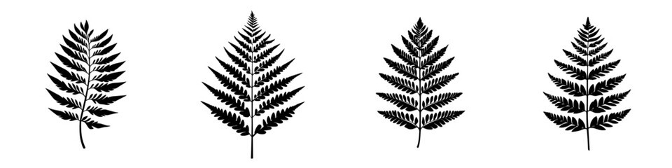 Silhouette illustrations of ferns showcasing minimalist black-and-white design in a natural setting