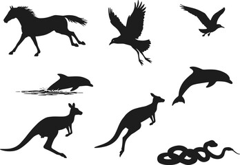 PrintSilhouettes of wild animals including horse, dolphin, kangaroo, bird, and snake, ideal for wildlife vector art, nature design, and education.