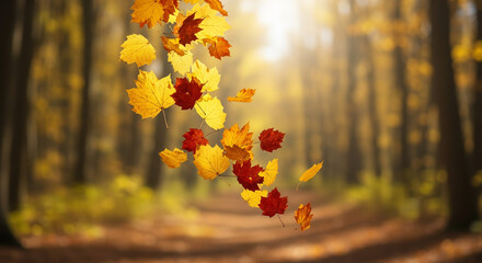 Golden Autumn Leaves Falling on Forest Background