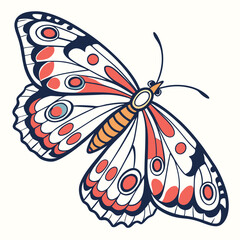butterfly on a white background