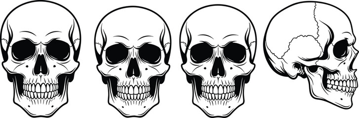 Human skull vector illustrations in frontal and profile views, black anatomical set for medical reference, forensic art, and design