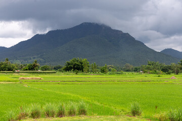 Obraz premium A beautiful summer mountain landscape with green fields and a blue sky dotted with clouds