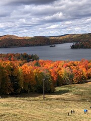 autumn landscape with lake