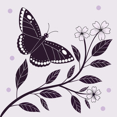 butterflies and flowers