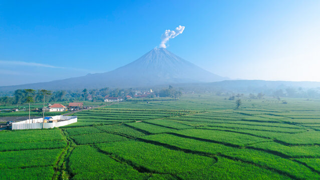 View of Mount Semeru from Teras Semeru shows its majestic peak under a clear blue sky, surrounded by lush fields and forest in a peaceful natural landscape.